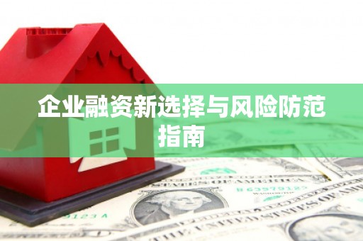 磐安企业融资新选择与风险防范指南