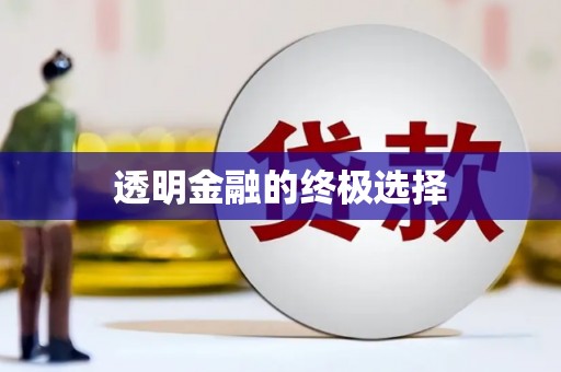 磐安透明金融的终极选择