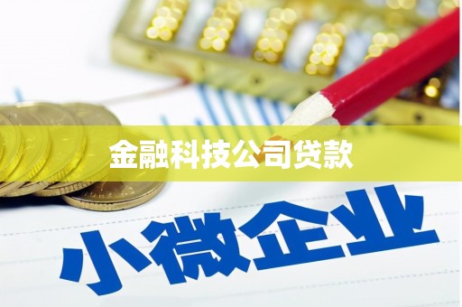 磐安金融科技公司贷款