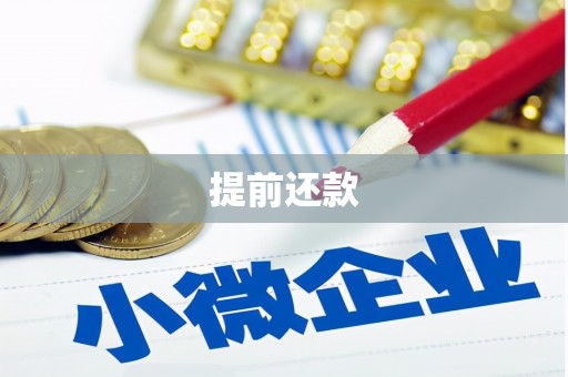 磐安提前还款
