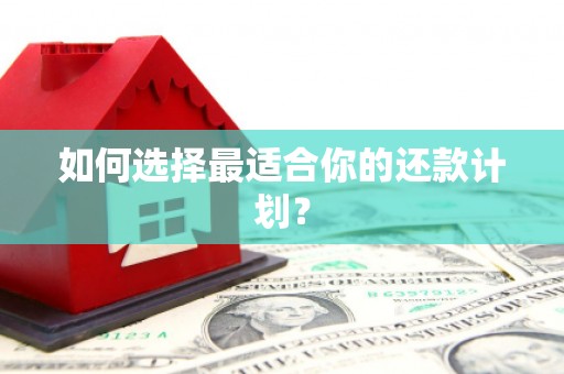 磐安如何选择最适合你的还款计划？