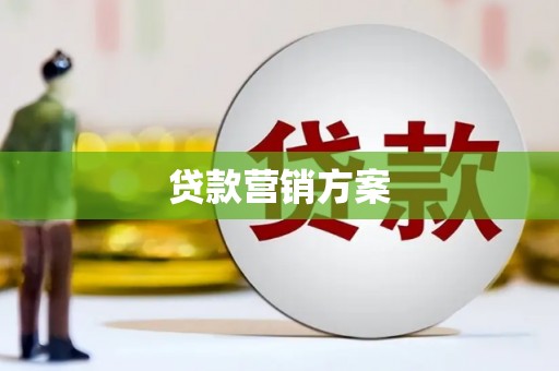 磐安贷款营销方案