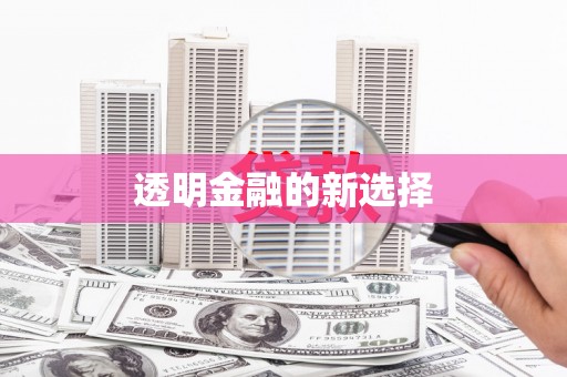 磐安透明金融的新选择