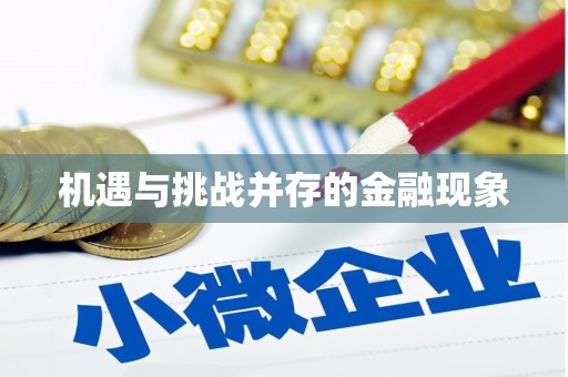 磐安机遇与挑战并存的金融现象