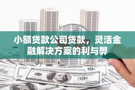 磐安小额贷款公司贷款，灵活金融解决方案的利与弊