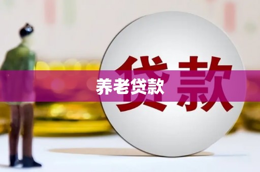 磐安养老贷款